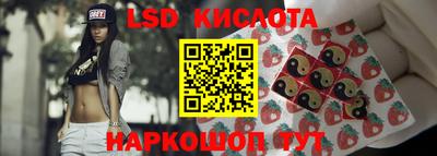 стафф Аргун