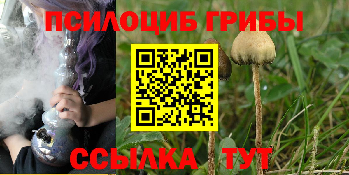 Баксан  что такое   Вход с VPN  Псилоцибиновые грибы прущие грибы  Галлюциногенные грибы MAGIC MUSHROOMS 