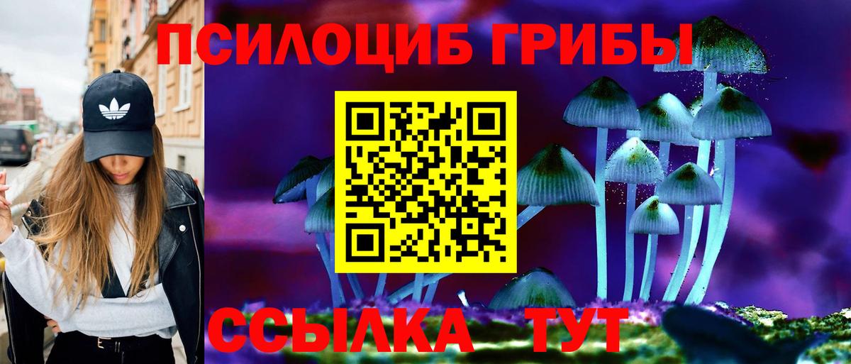 Галлюциногенные грибы Magic Shrooms Баксан